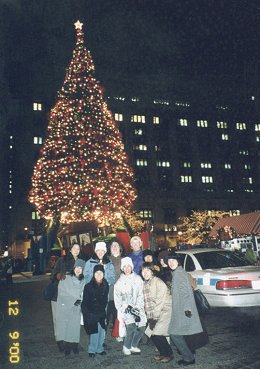 Daley Center Xmas Tree