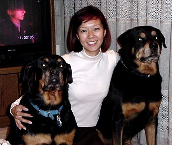 Miriam and the dogs